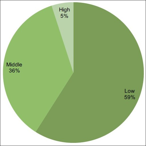 Socioeconomic status