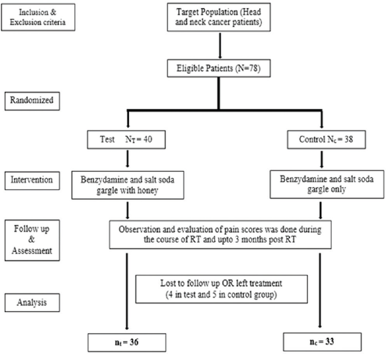 Flow diagram of study design