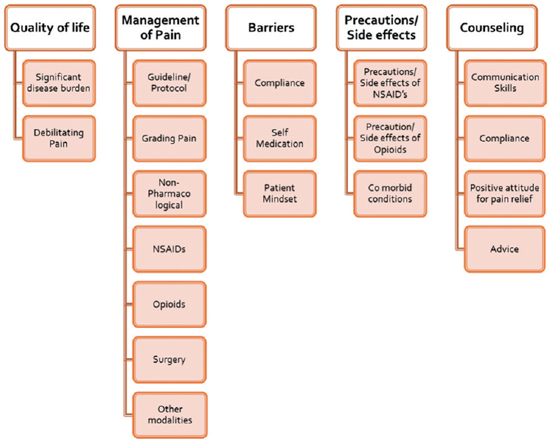 Major themes and subcategories