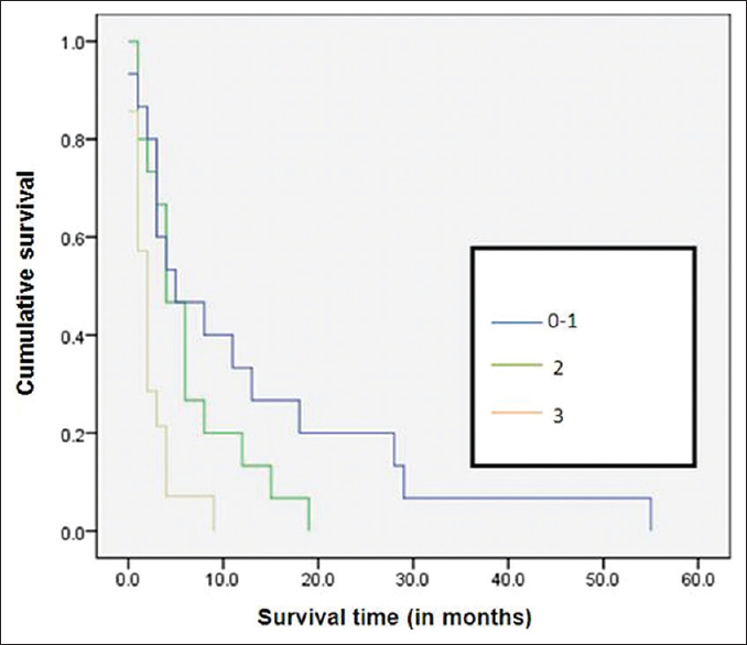 Kaplan–Meier survival curves according to Eastern Cooperative Oncology Group performance status