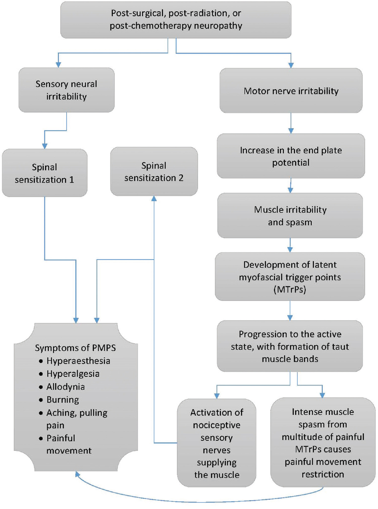 Proposed mechanism of contribution of motor nerve neuropathy to the development of postmastectomy pain syndrome.