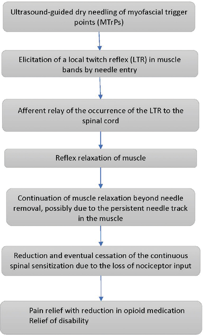 Proposed mechanism of action of ultrasound-guided dry needling.