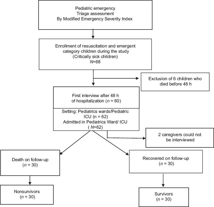 Flowchart showing the study plan