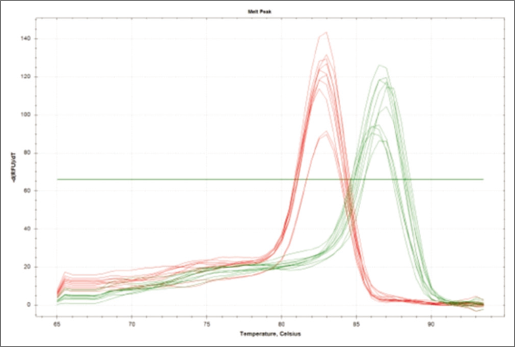 Melt peak curve of extracellular signal-regulated protein kinase and tissue inhibitors of matrix metalloproteases 1 gene.