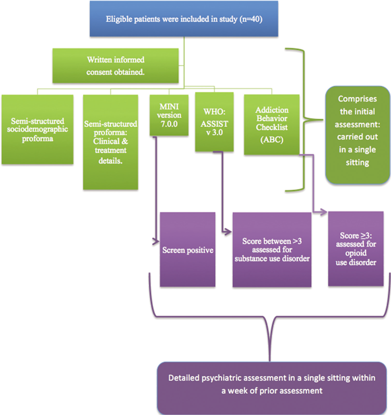 A flowchart outlining the study procedure