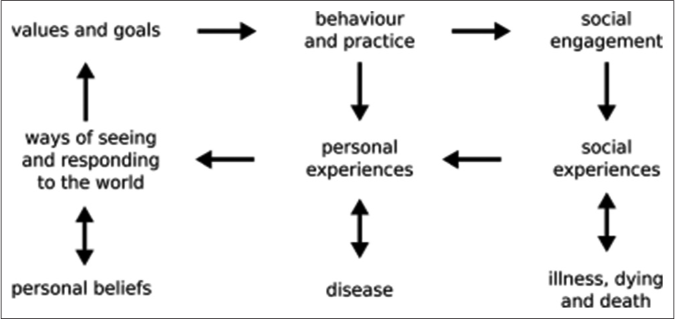 A synoptic model.[3]